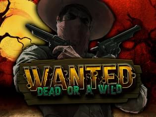 Wanted Dead or a Wild автомат